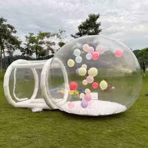 Tunnel simple extérieur annonçant la tente transparente de bulle de bulle de ballons de Chambre d'igloo de tente gonflable de dôme